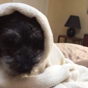 Meet your Posher, Cassidy